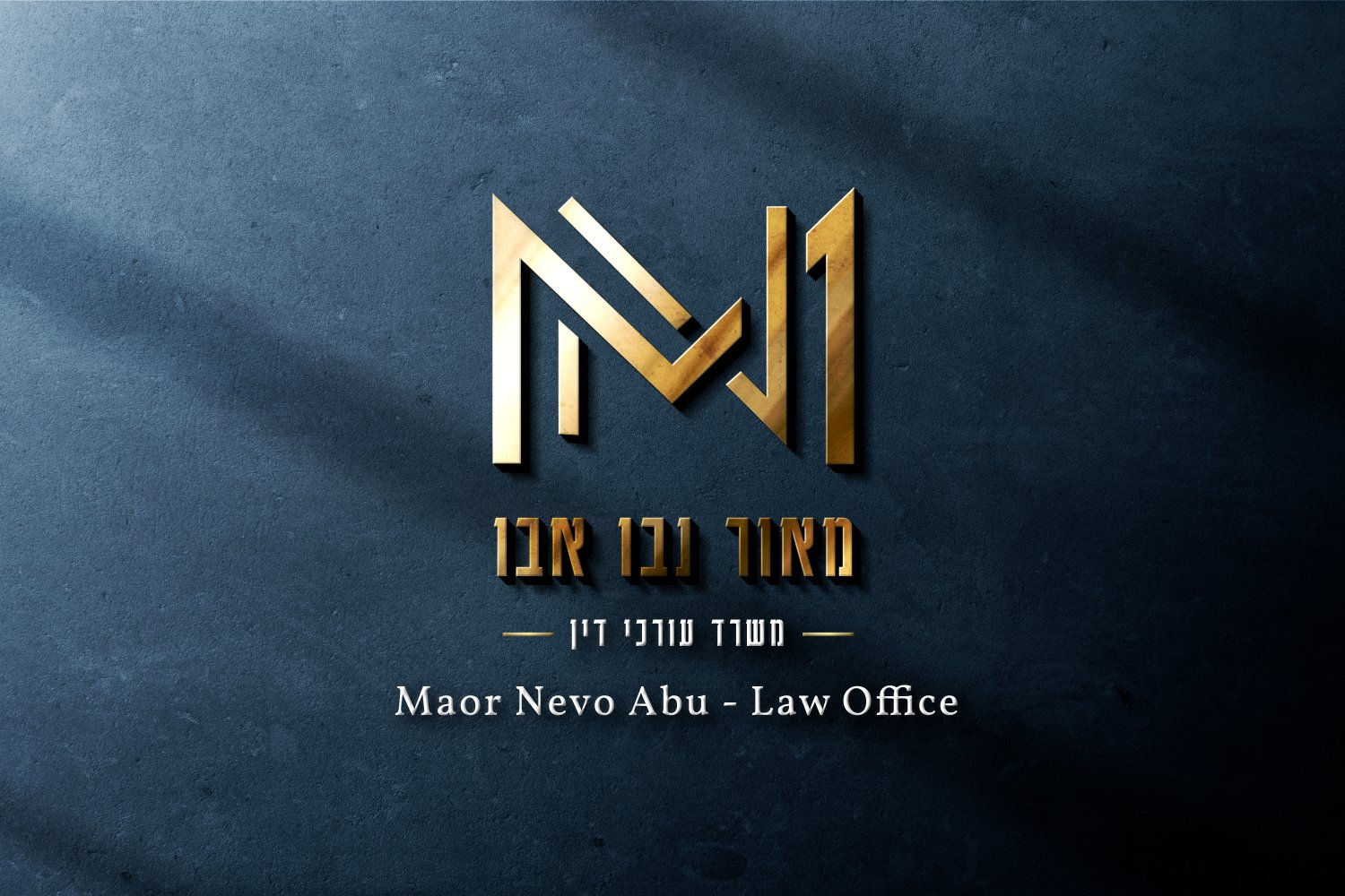 לוגו ומיתוג 1