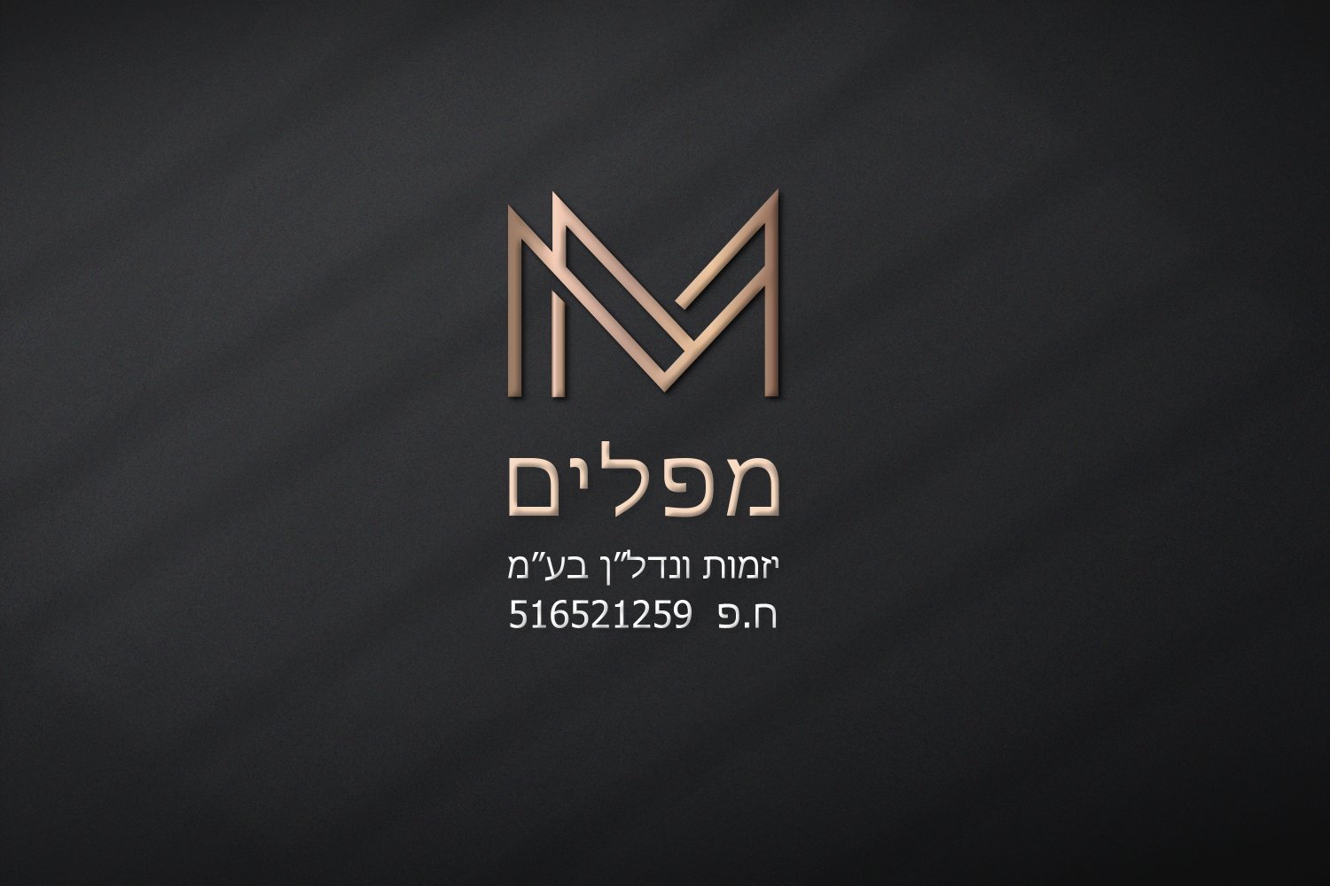 לוגו ומיתוג 9