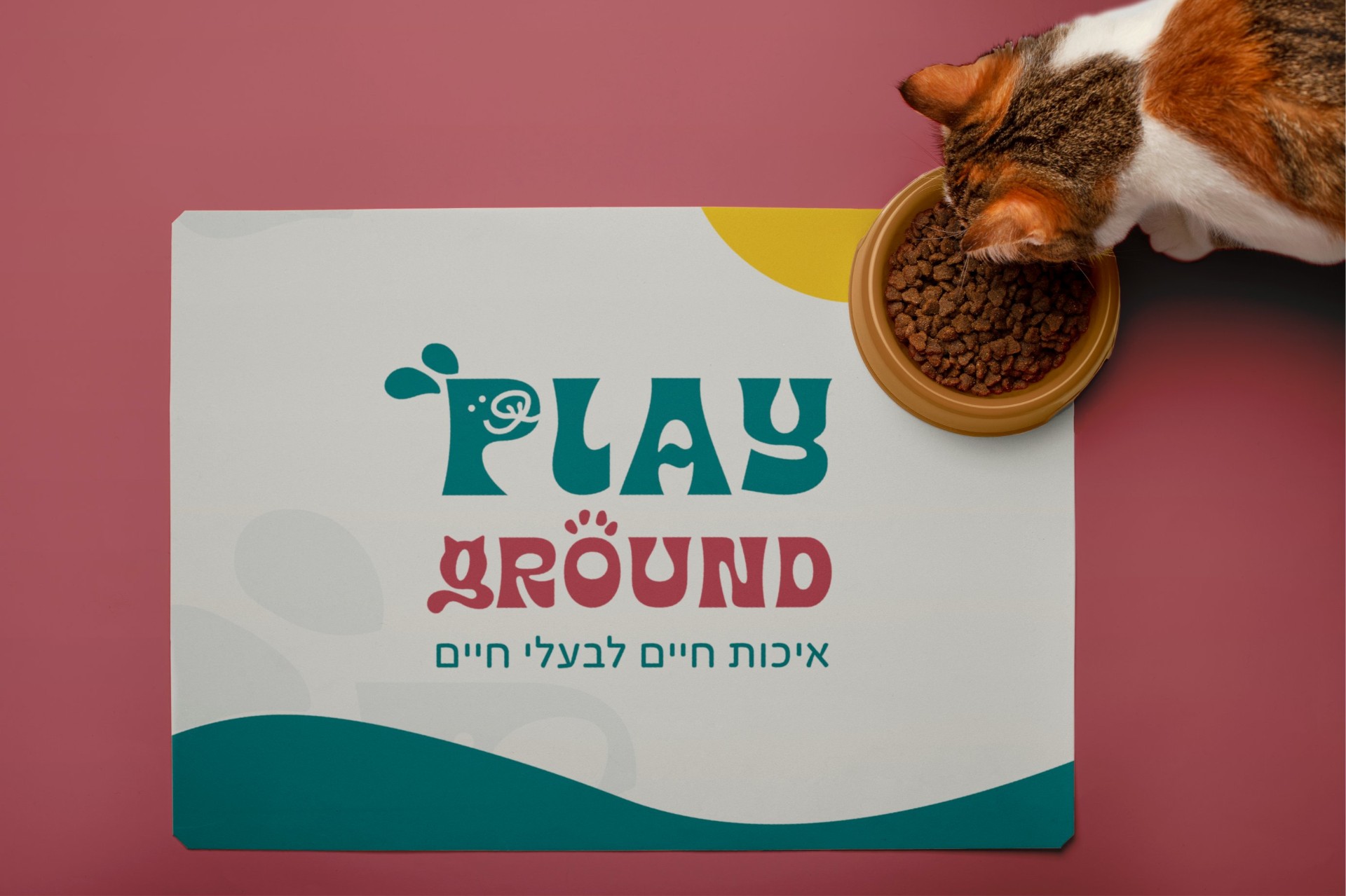 PLAYGROUND — מרכז רפואי לבע״ח - תמונה 5