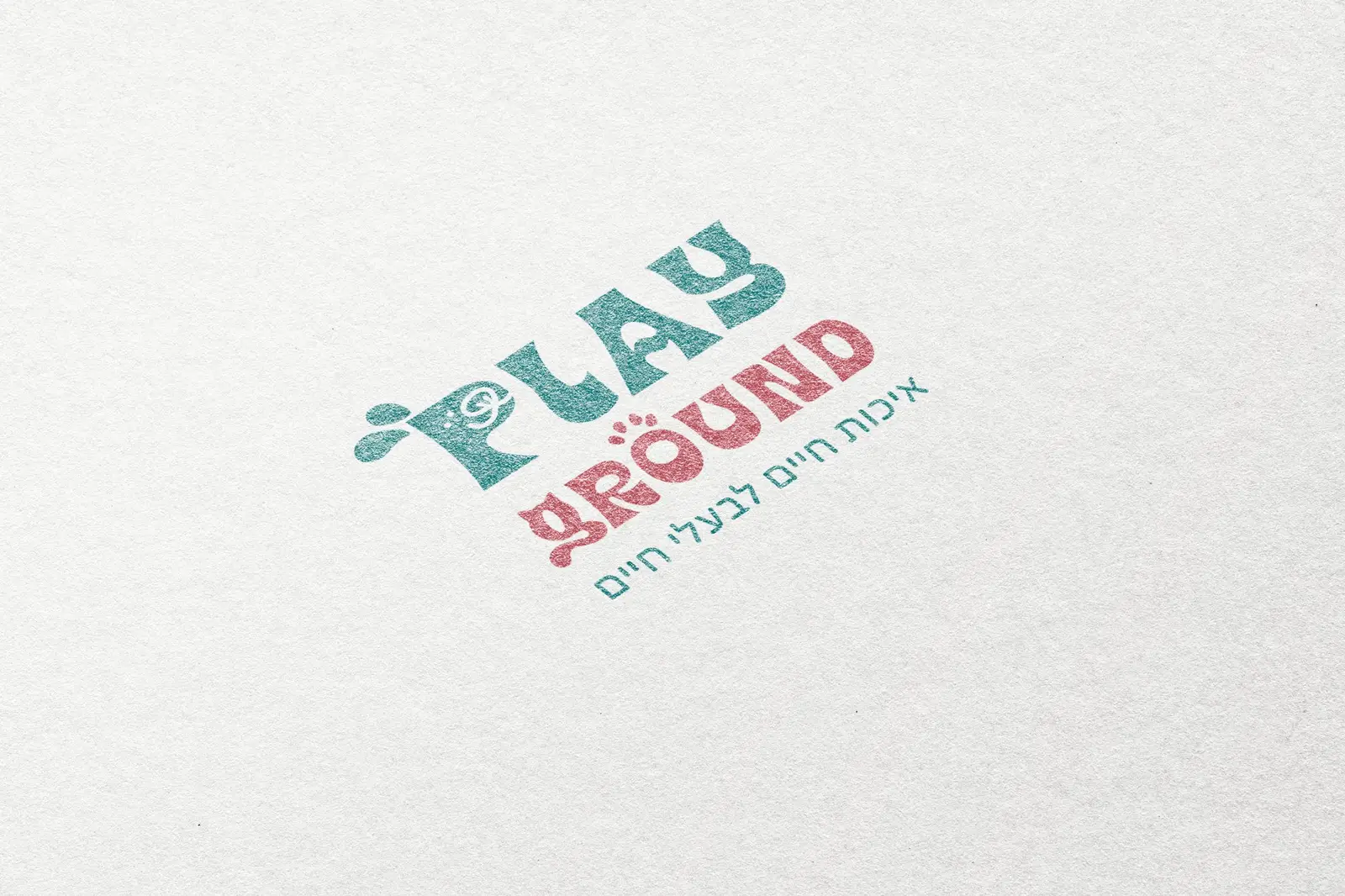 PLAYGROUND — מרכז רפואי לבע״ח - תמונה 6